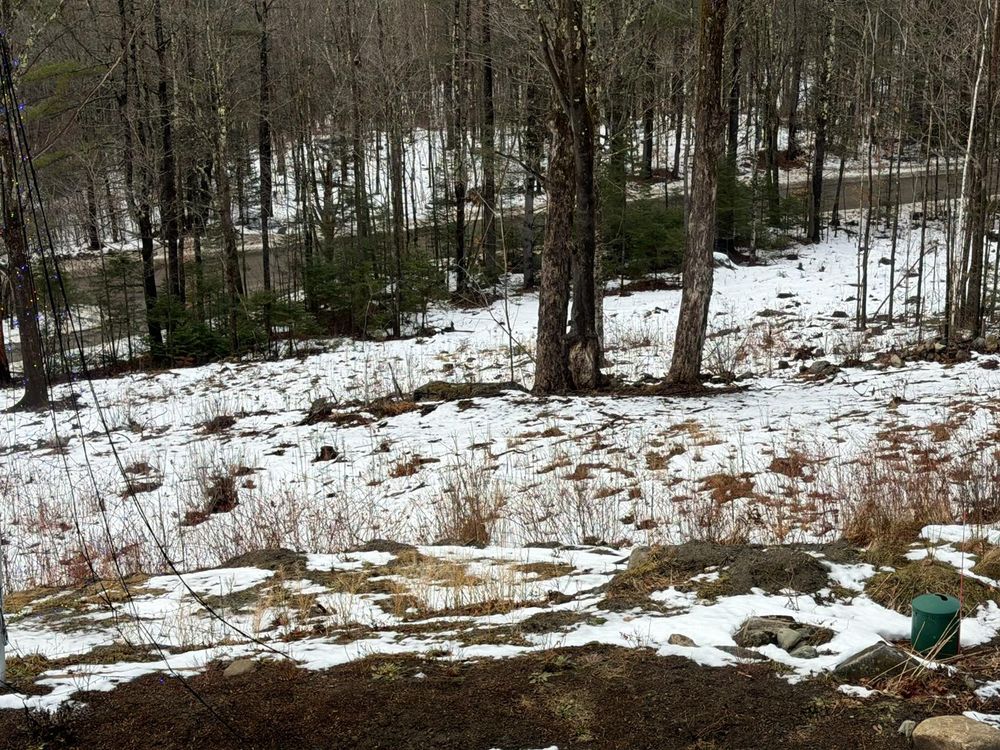 All Photos for Clifford’s Quality Tree Care & Landscaping in Enfield, NH