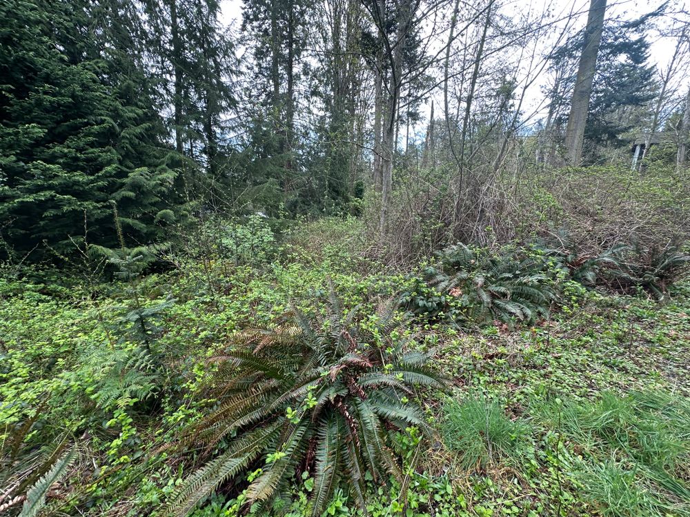 All Photos for AR Trucking & Excavation LLC in Stanwood, WA