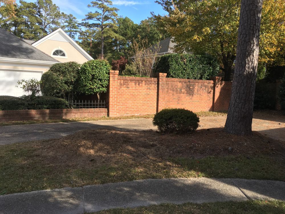 Tree Removal for Tucker's Tree Service and Stump Grinding in Lugoff, SC