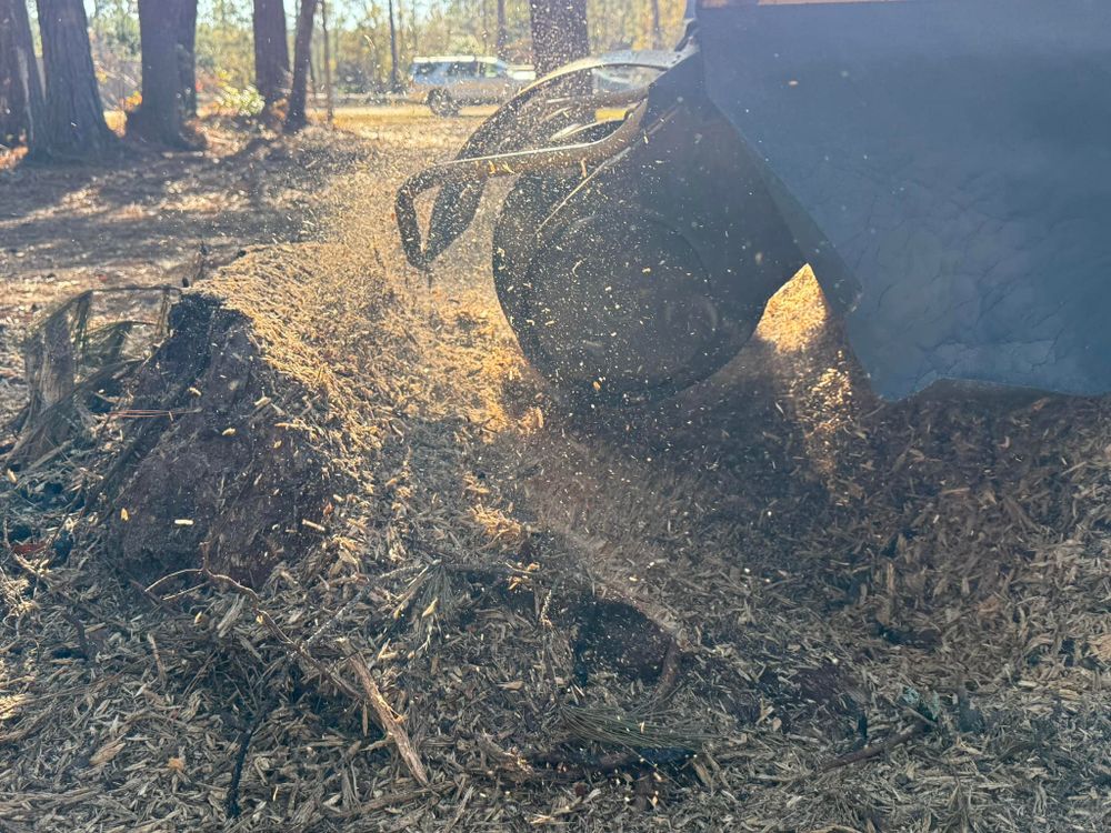 Our stump grinding and removal service eliminates unsightly stumps safely and efficiently, improving your yard’s appearance, preventing hazards, freeing usable space, and preparing the area for landscaping or construction. for Cox's Ag Services, LLC in Evans City, PA