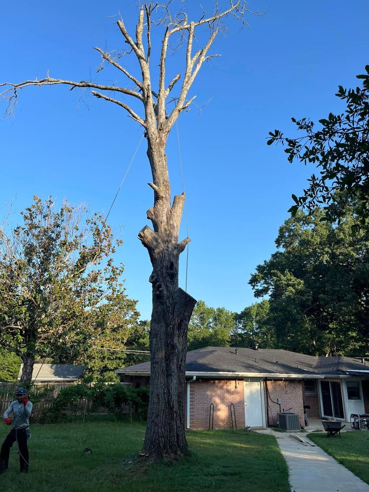 All Photos for JC Land and Tree Service in Kilgore, TX