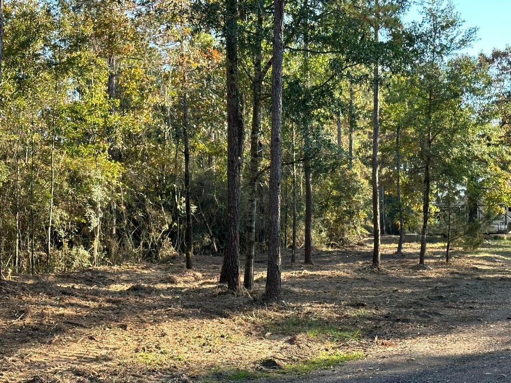 All Photos for White’s Land Maintenance in Milton,, FL