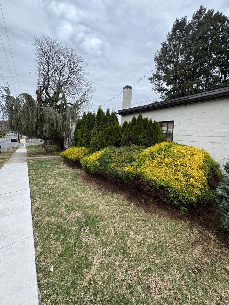 All Photos for Landscape & Lawn Care Pros in Temple, PA