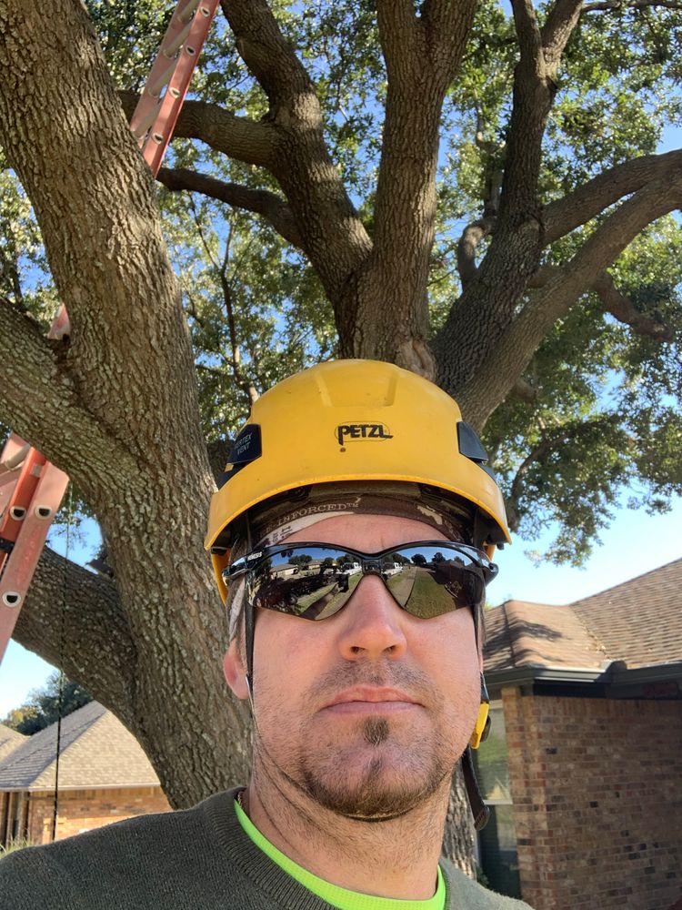 All Photos for TLC Professional Tree Service in Bedford, TX