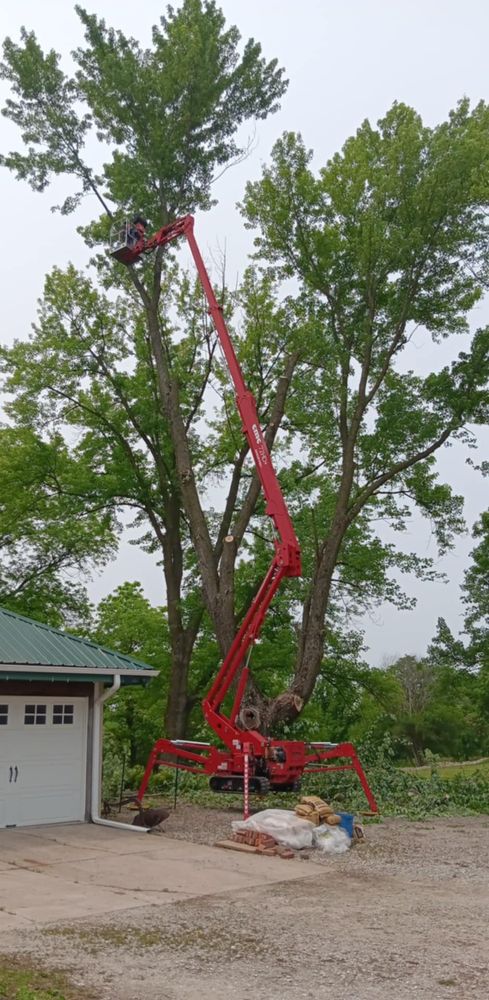 All Photos for Lawn Ranger Yard And Tree Service LLC in Ottumwa, IA