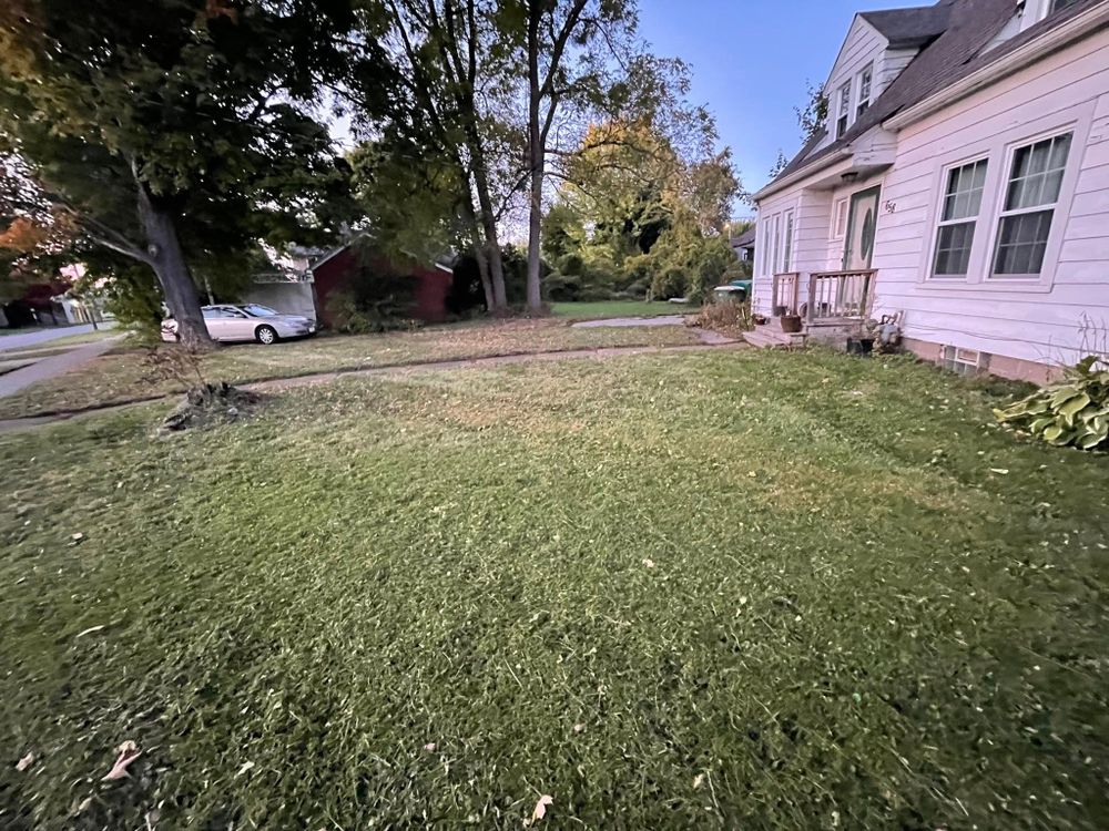 All Photos for Reynoso’s Fencing & Lawn Care in Painesville, OH