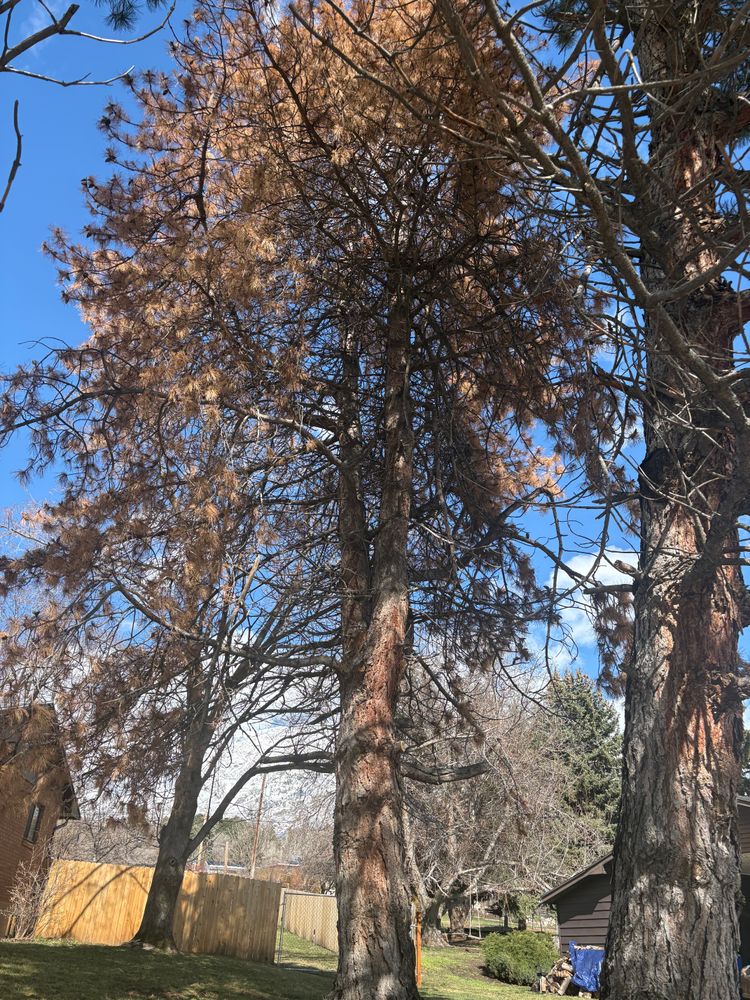 Landscaping for Adventure Landscaping in Pleasant View, UT