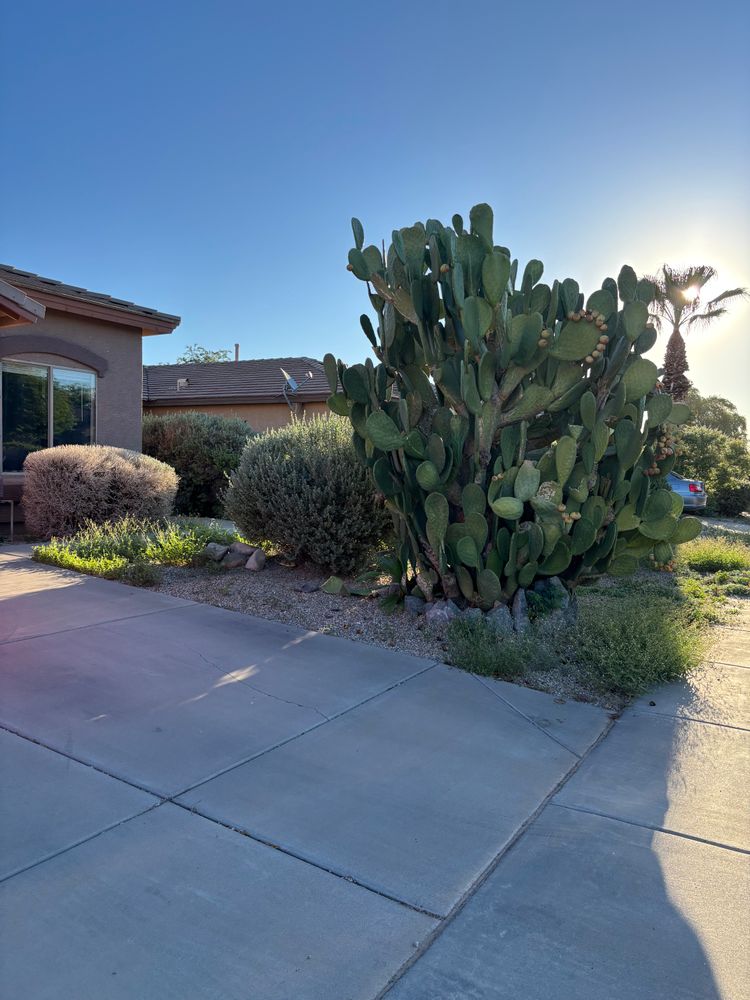 All Photos for Good Hands Landscape in Maricopa, AZ