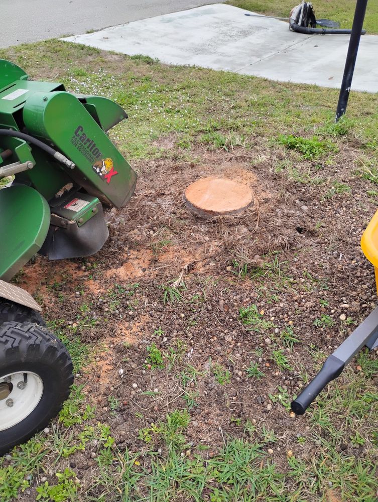 All Photos for Highlands Tree Service LLC in Avon Park, FL