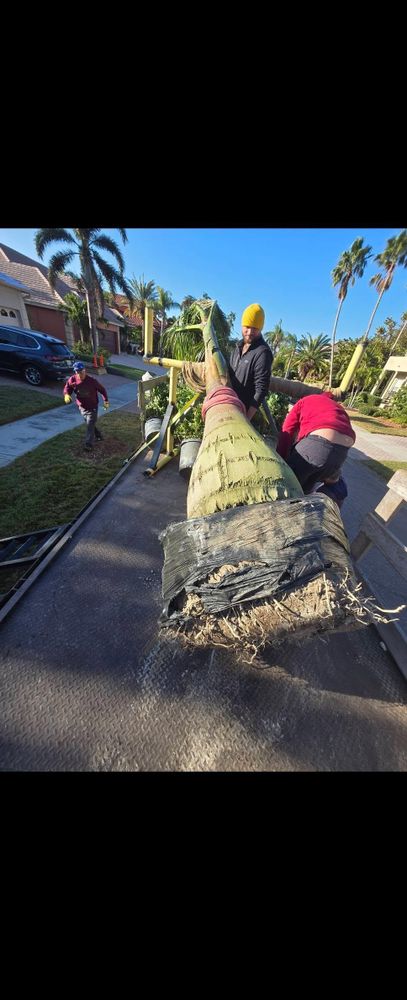 All Photos for TREE BOYS in Ruskin, FL