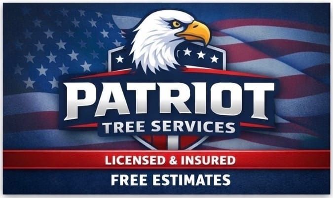 All Photos for Patriot Tree Service in Mesa, AZ