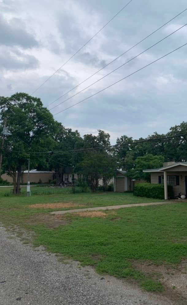 Tree Removal for Rollins Tree Service in Eastland, TX