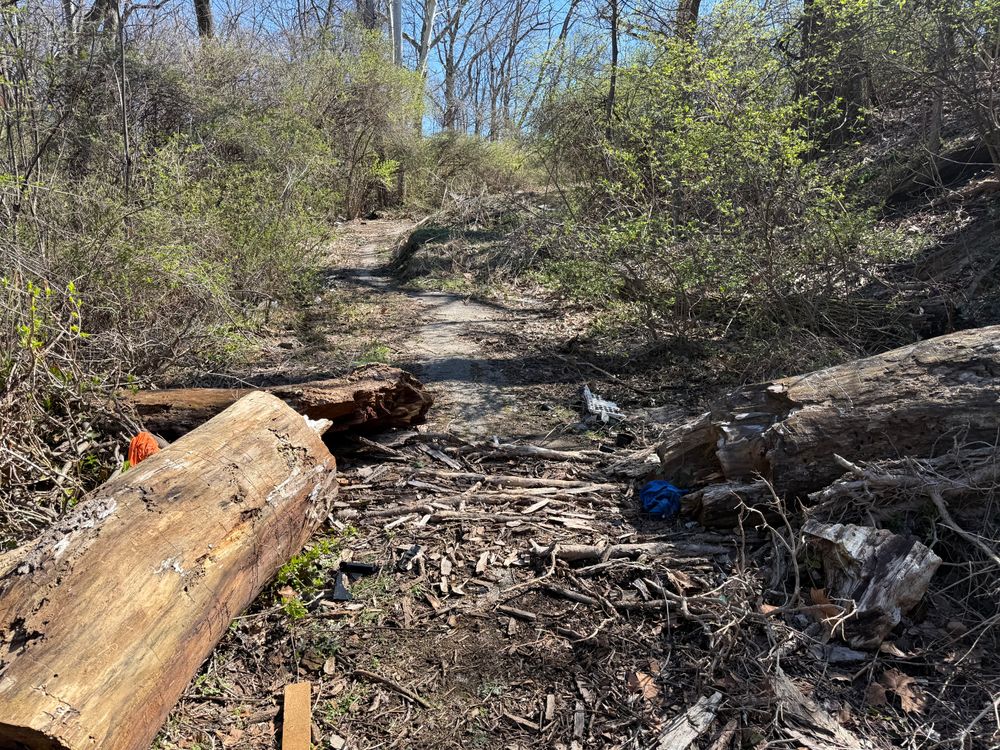 All Photos for A1 Bush Hogging & Lawn Service in London, OH