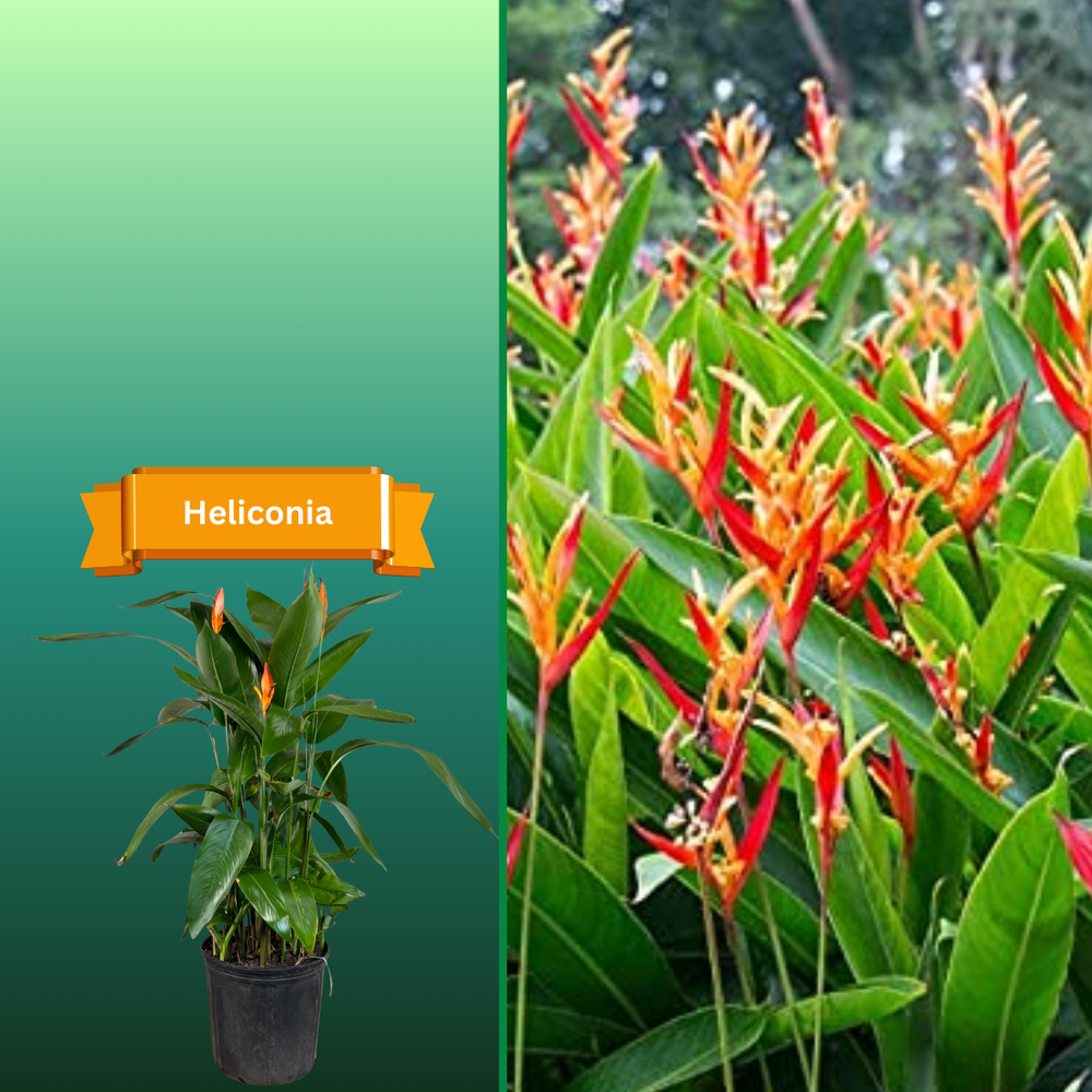 All Photos for R.B. & Company in Belleview, FL