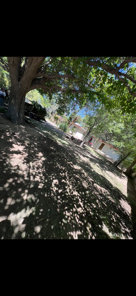 All Photos for Luxury Junk Removal Yard Care in Albuquerque, NM