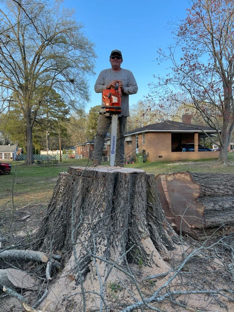 Tree Services for R&P Tree Service LLC in Greenville, South Carolina