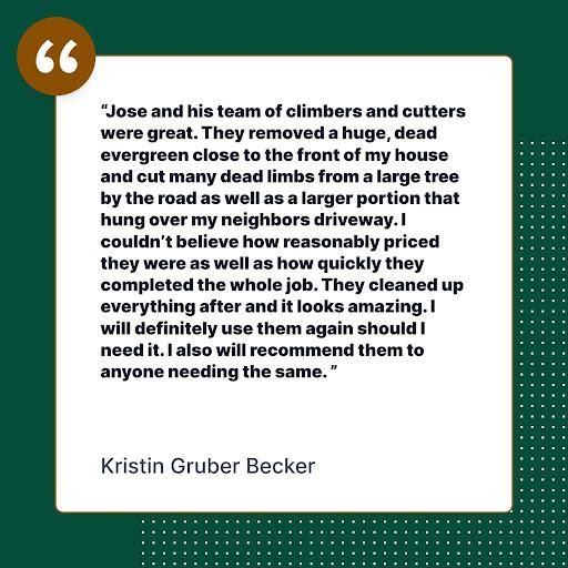 All Photos for Ramirez Tree Care in Pontiac, Michigan