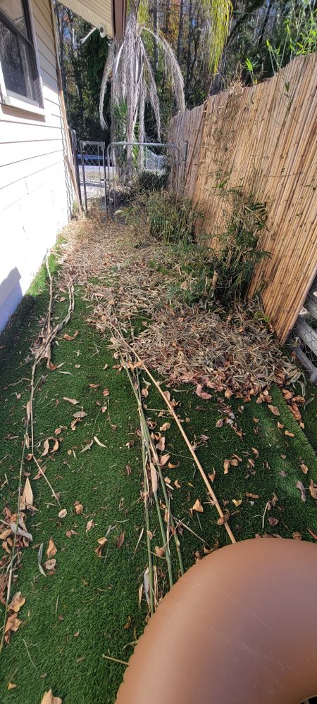 All Photos for Tezna Landscaping, Trees & Pavers in Valrico, FL