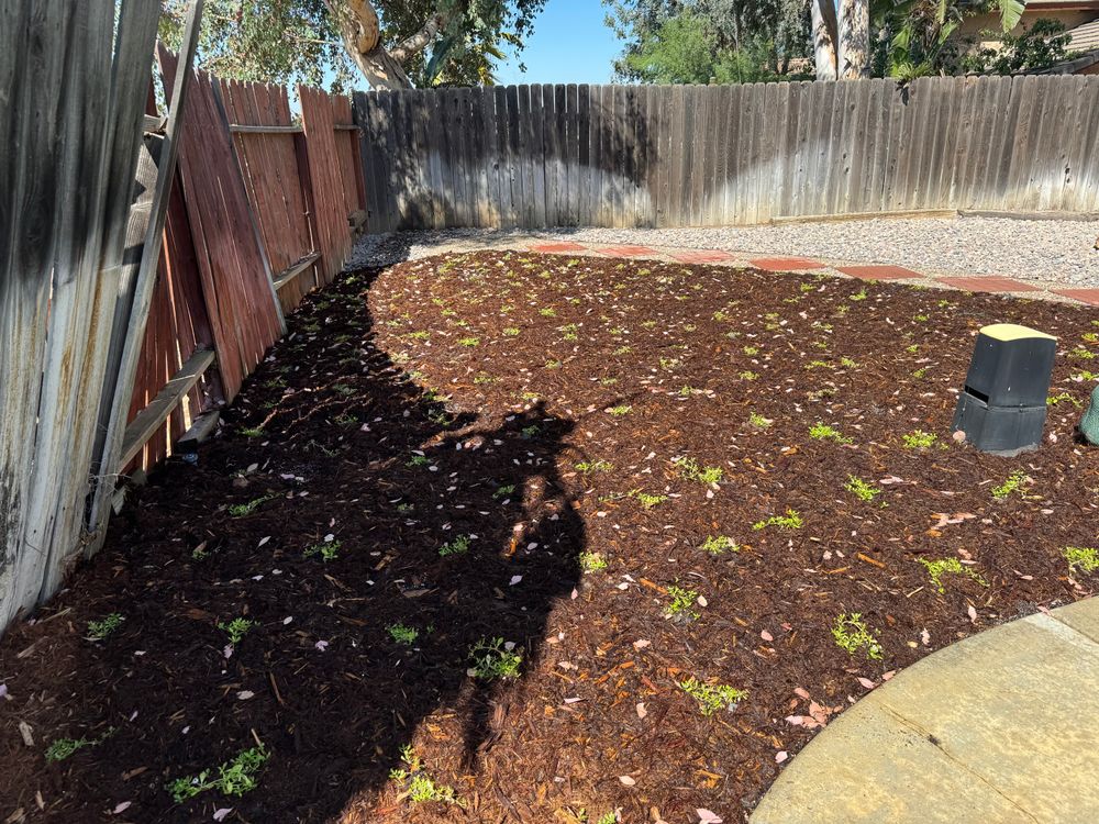 Drought-Tolerant Landscapes for Aidan Jade Landscaping in Riverside County, CA