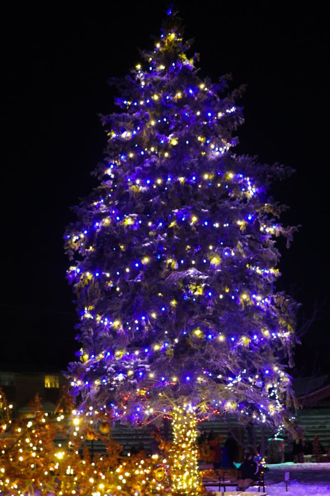 Home Softwash for Hometown Home Services Inc. in Knox, IN