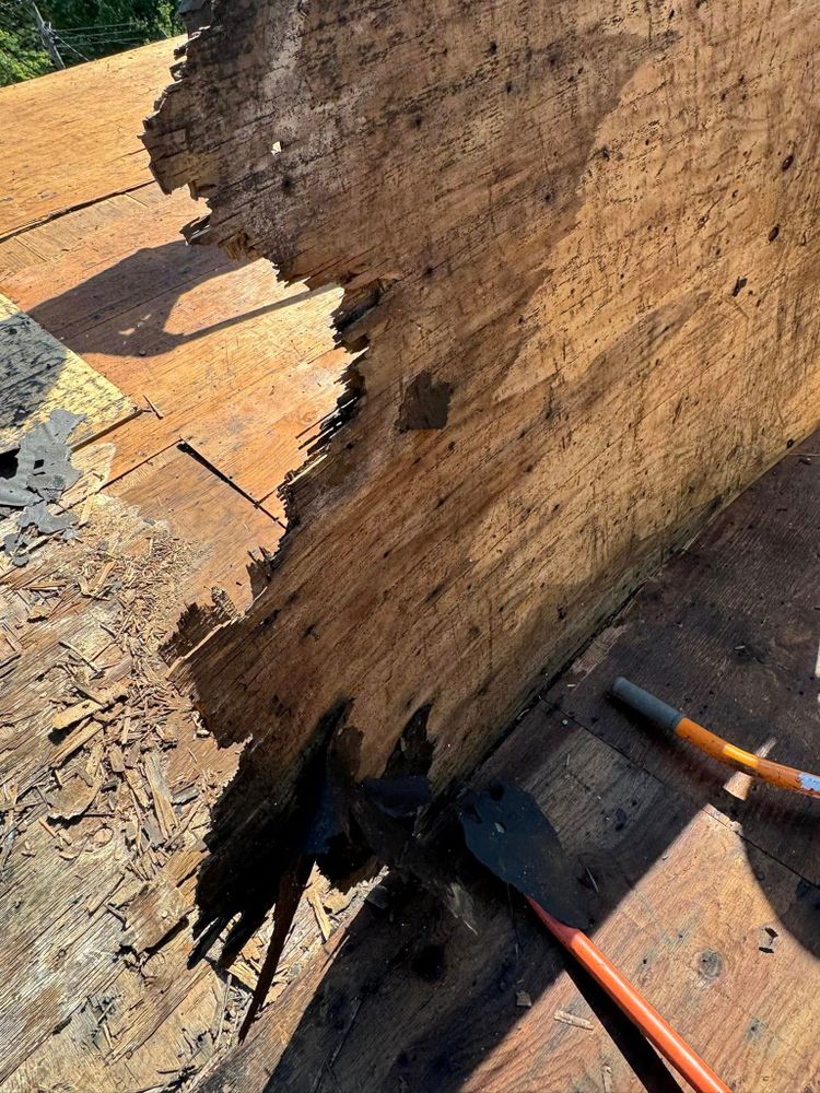 All Photos for First Choice Home Improvement LLC in East Windsor, CT