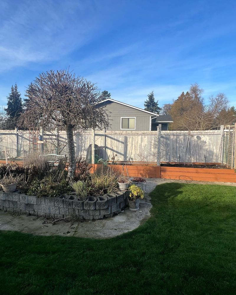 Enhance your home's exterior with our expert Mowing and Gardening services, offering professional lawn care and meticulous garden maintenance to complement the beauty achieved with our exceptional painting work. for MDM Paint in Tacoma, WA