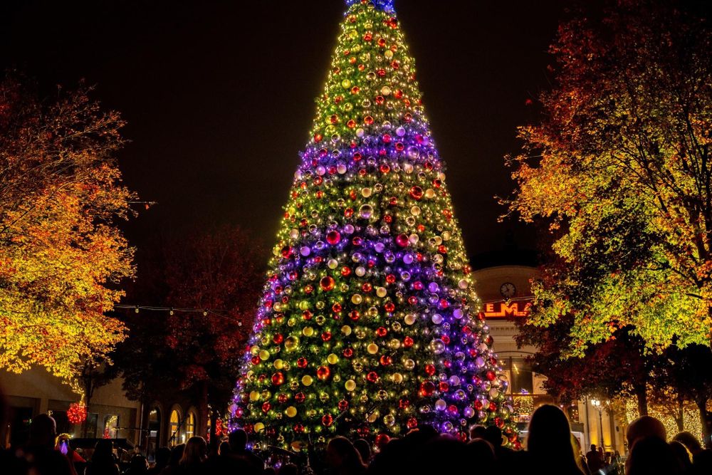 All Photos for Holiday Lighting Solutions in Huntsville, AL