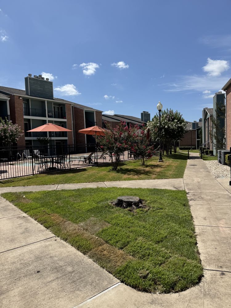 Seasonal color changes for Guerrero's Landscape in Fort Worth,  TX