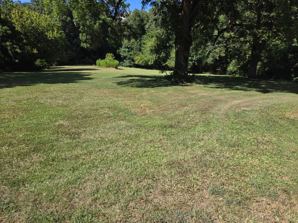 All Photos for Fresh Cut Yard & Lawn Care LLC in Forsyth, GA