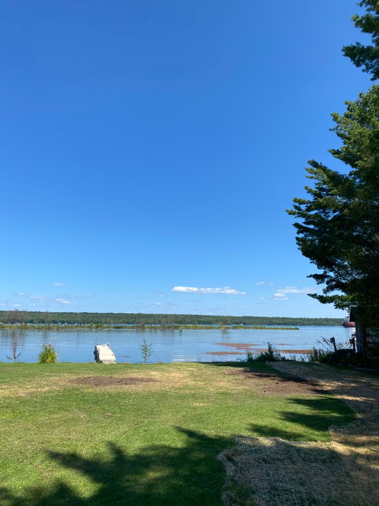 Tree Removal for Bear Creek Tree Service LLC in Rudyard, MI