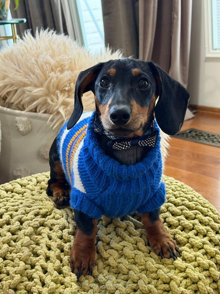 All Photos for Williams Concrete Pumping in Knoxville, Tennessee