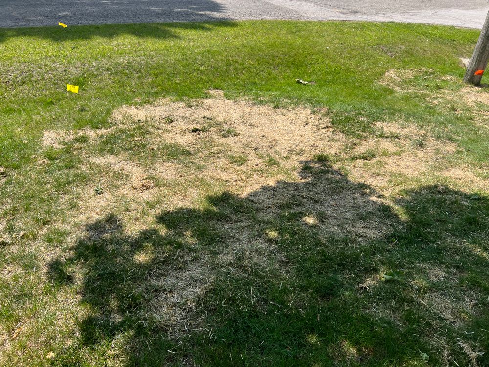 All Photos for Phillips Lawn Services in Ravenna, MI