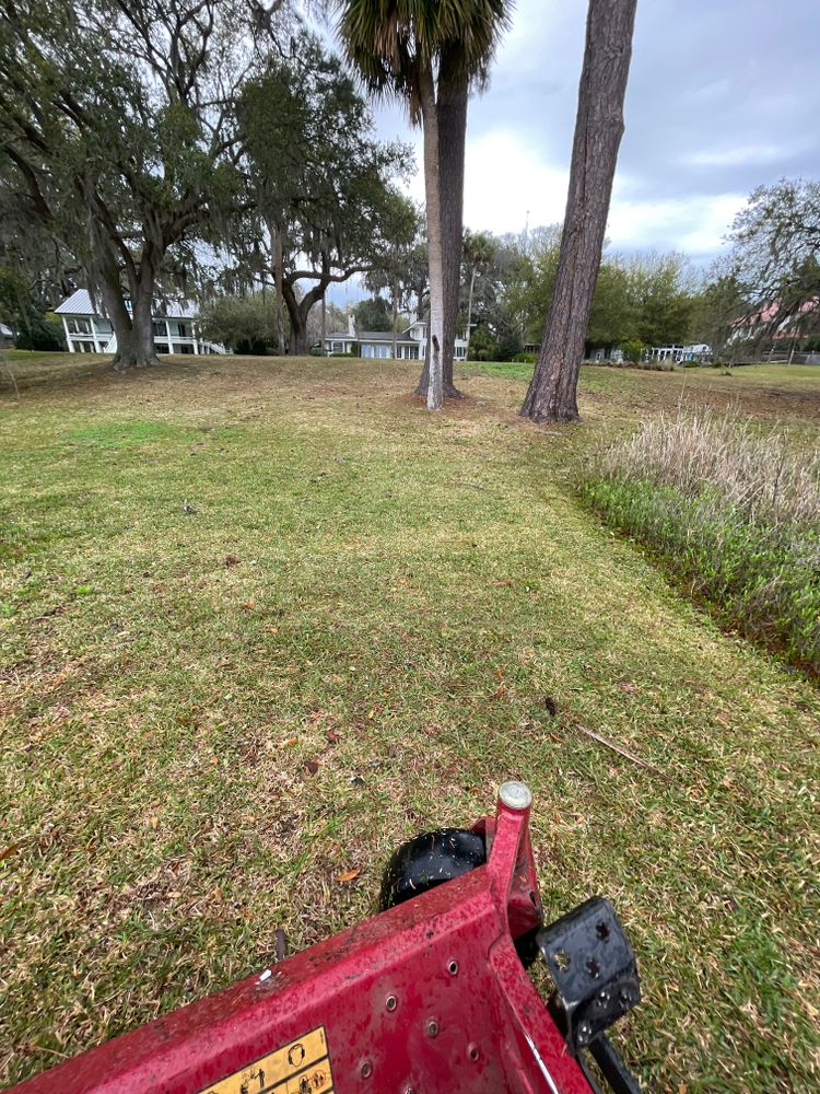 Lawn Care for Coastalscapes Landscaping & Turf Management  in Savannah, GA