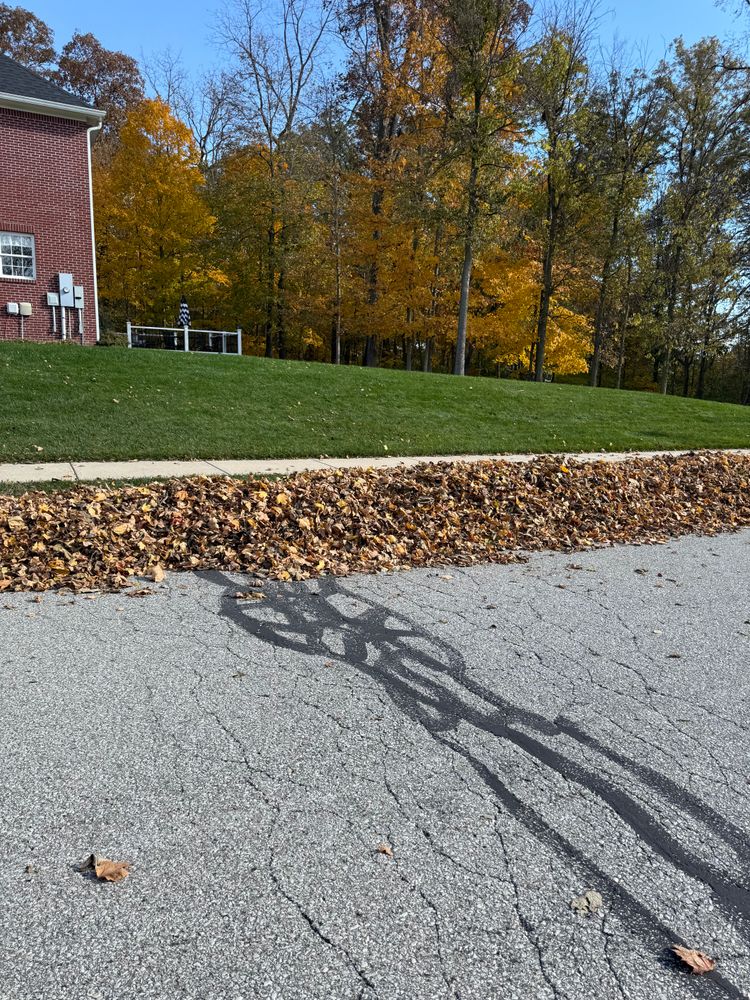 All Photos for Bearforce Lawn Care LLC in Greenfield, IN