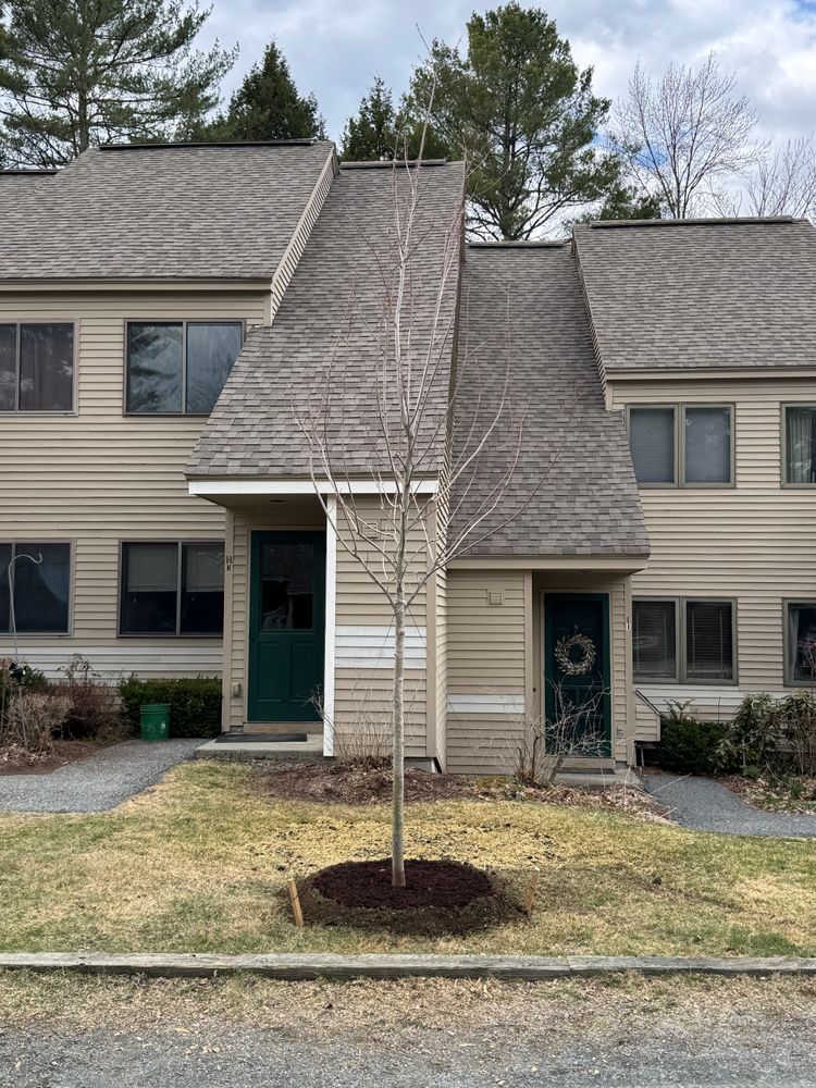 All Photos for Clifford’s Quality Tree Care & Landscaping in Enfield, NH