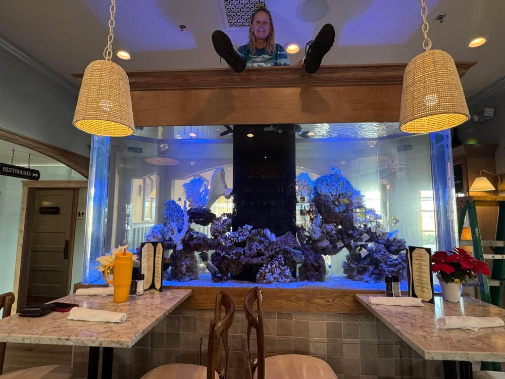 Aquarium Maintenance for Aquariums by Sharyn in The State of Florida, FL