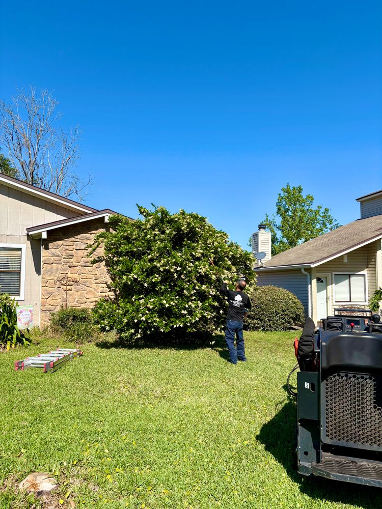 All Photos for Top Notch Tree Experts in Orange Park, FL