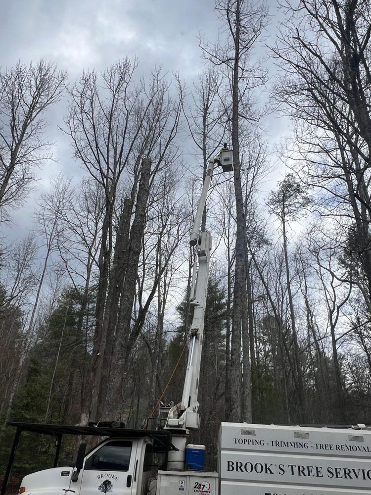 All Photos for Brooks Tree Service in Casar, NC