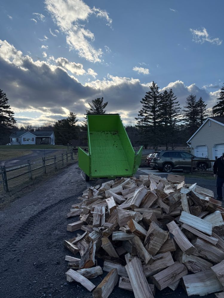 All Photos for Sterlings Tree Removal in Cobleskill, New York