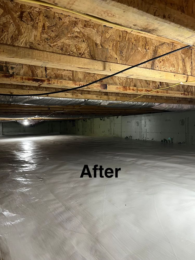 Crawlspace/Attic Renovation  for All-In Pest Control & Home Solutions in Greene County, IN