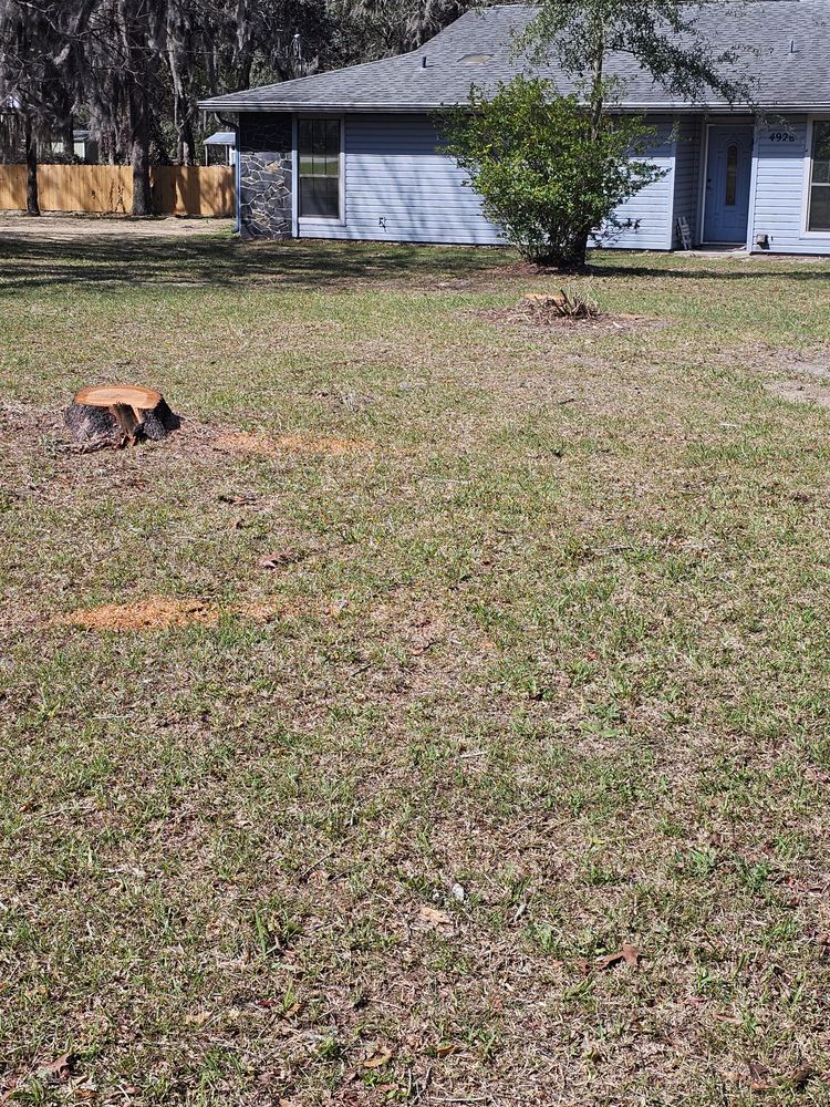 All Photos for Stumps done right LLC in Middleburg, FL