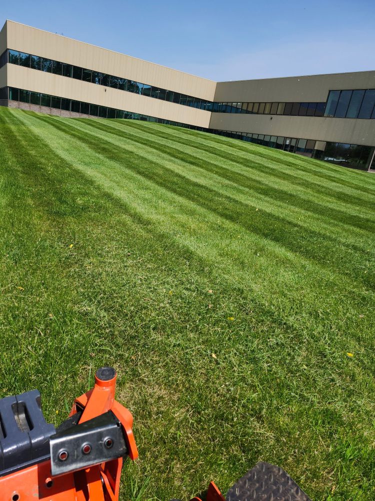Landscaping for Rojas Services in Northfield, MN