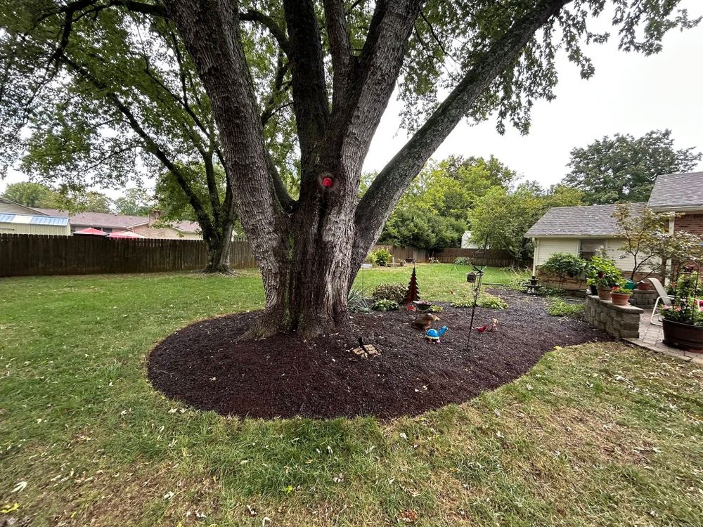 Our Tree & Shrub Care service ensures your landscape remains healthy and vibrant, offering expert pruning, fertilization, and disease control to enhance growth and maintain the beauty of your outdoor space. for Hawkins Outdoor Solutions in Woodbury, TN