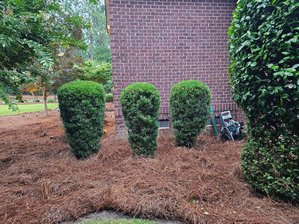All Photos for 1 Man Does It Lawn Service in Blythewood, SC