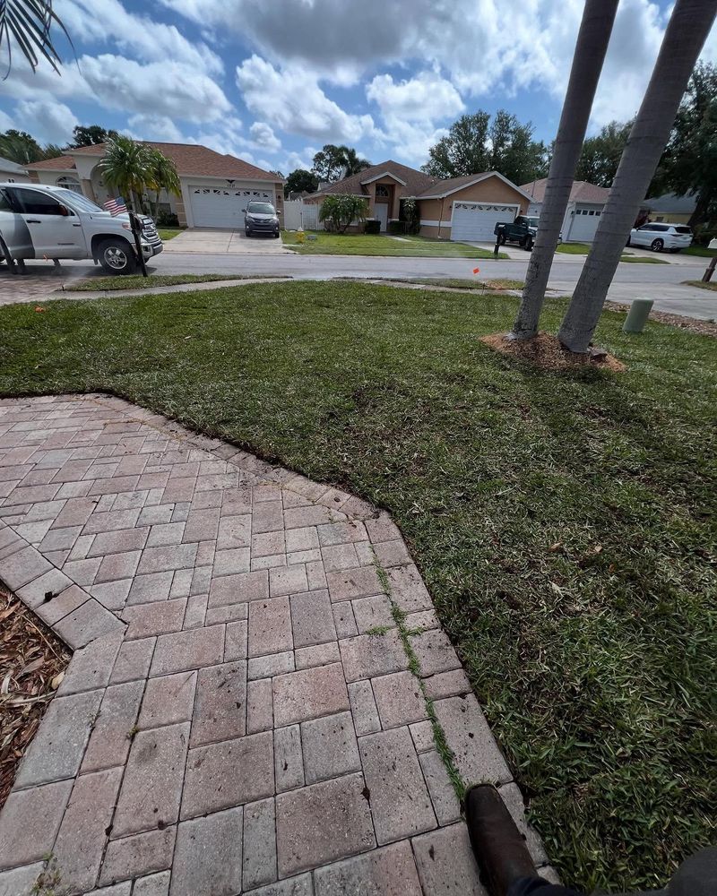 Fall Clean Up for AGT Landscape & Design LLC. in Saint Petersburg, FL