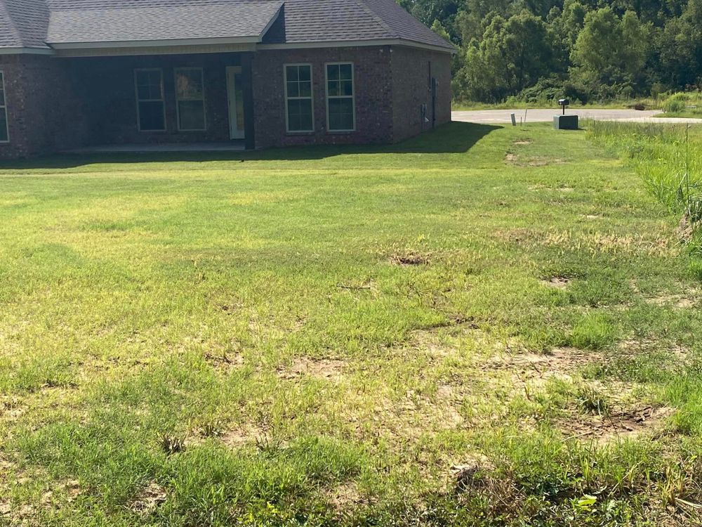 Hydroseeding for Holland Hydroseeding LLC in Columbia, MS