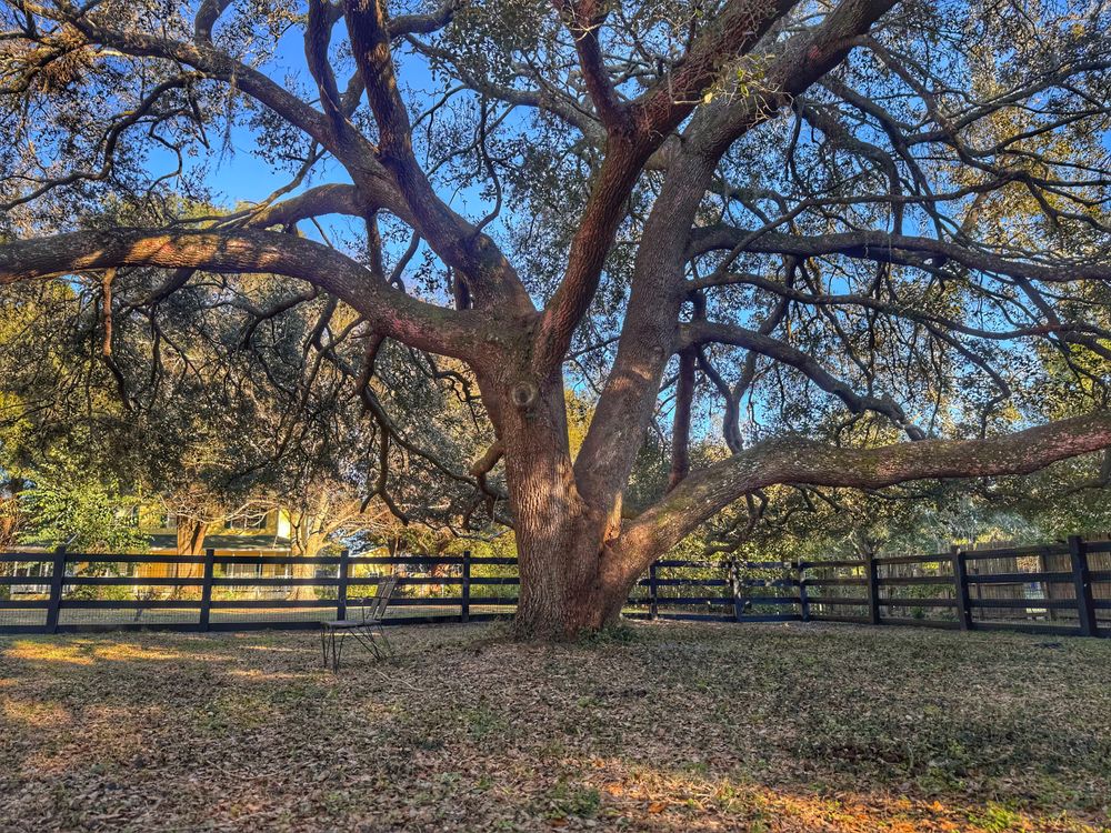 Fence Installation for E & E Irrigation and Fencing LLC in DeLand, FL