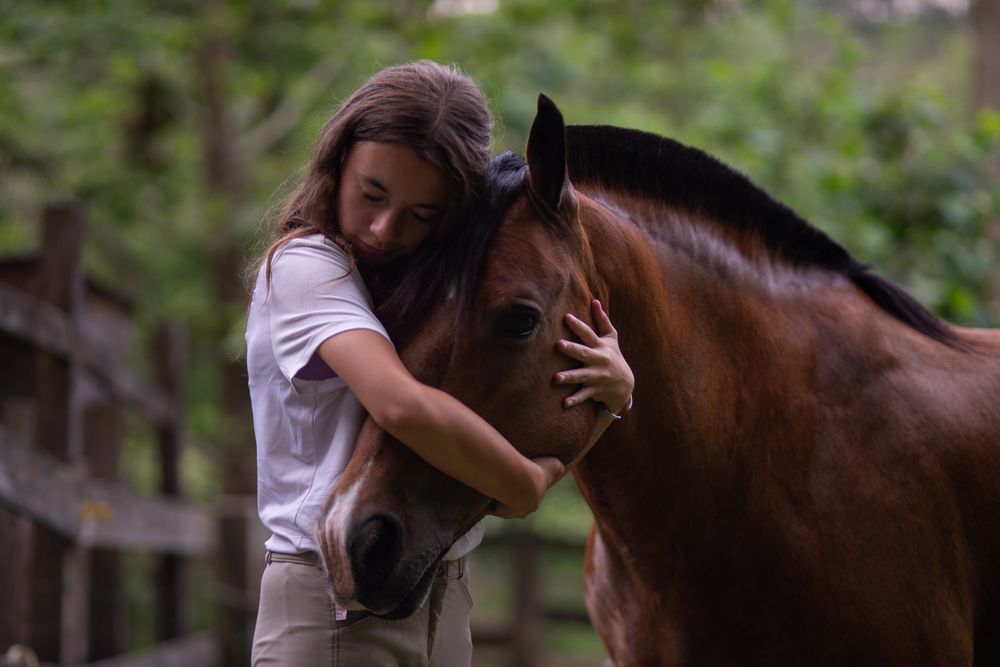 Lessons for Blue Stone Farm in Wantage, NJ