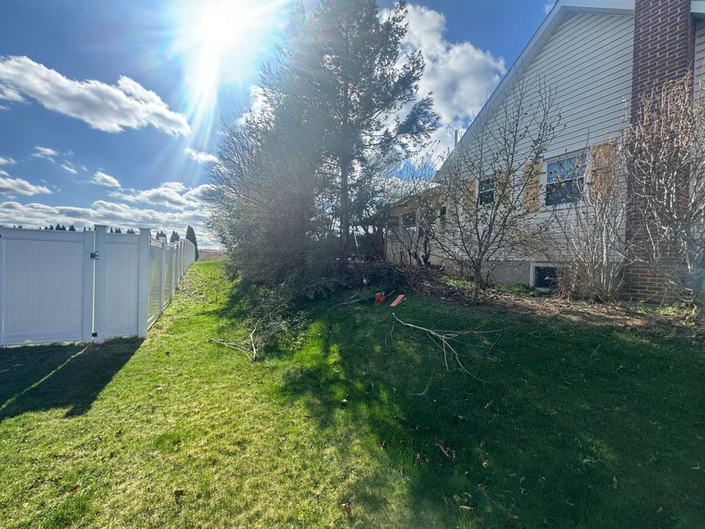 Tree Removal for Beckenbaugh Tree & Lawn Service in Lewistown, PA
