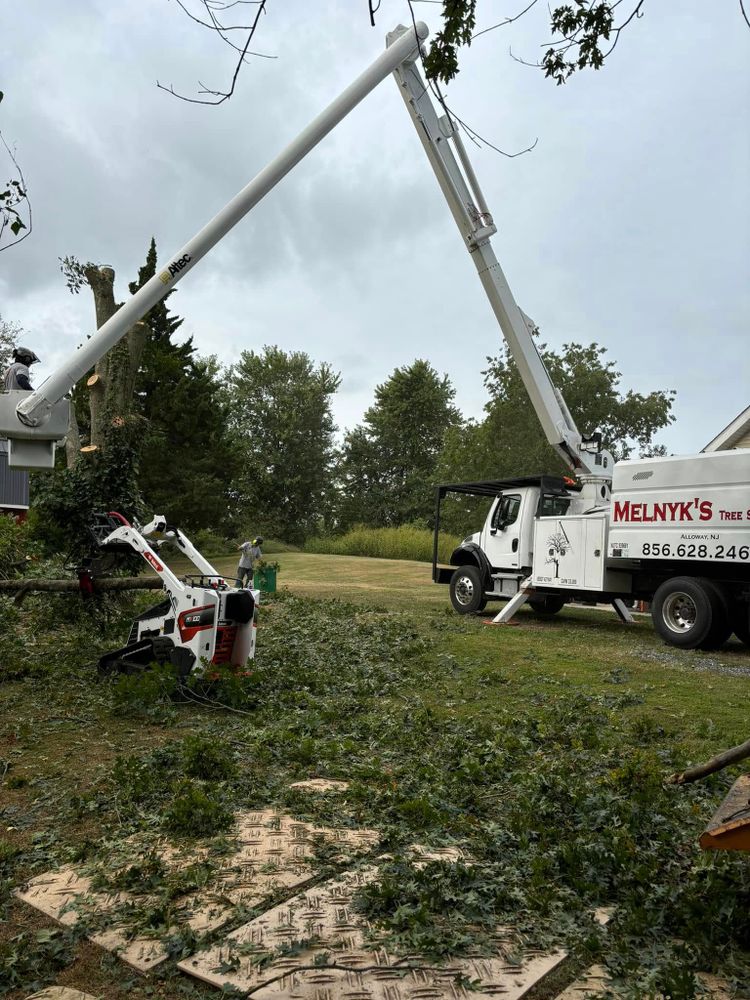 Melnyk’s Tree Service team in Salem County, NJ - people or person